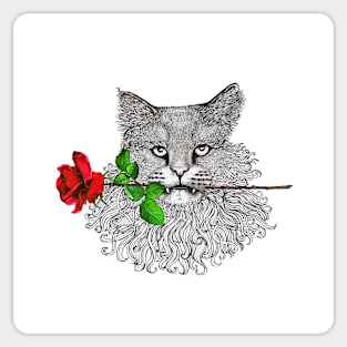 Valentine's Cat Sticker